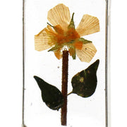 Sun-Glow Pressed Flower Rectangle Dangle Earrings